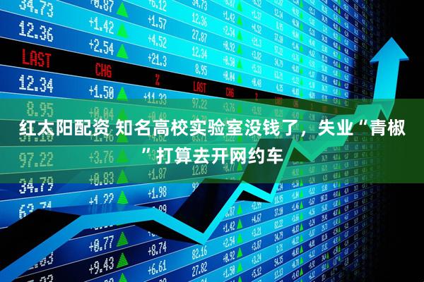 红太阳配资 知名高校实验室没钱了，失业“青椒”打算去开网约车