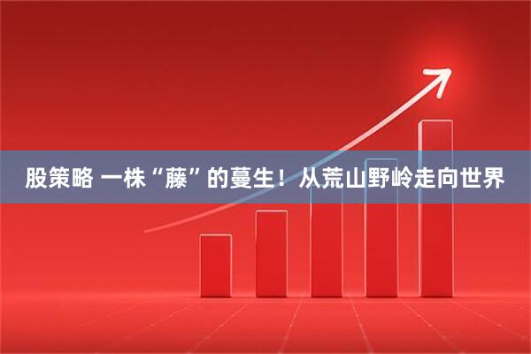 股策略 一株“藤”的蔓生！从荒山野岭走向世界