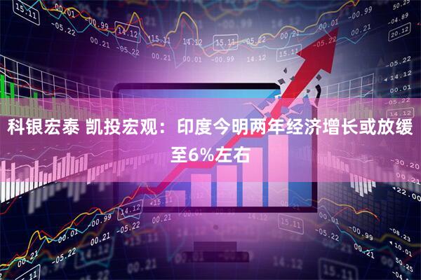 科银宏泰 凯投宏观：印度今明两年经济增长或放缓至6%左右