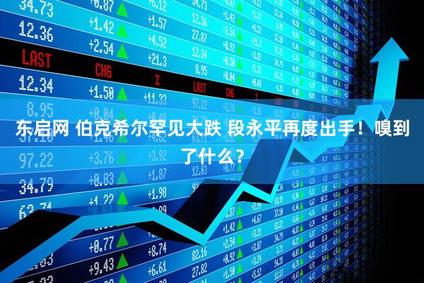 东启网 伯克希尔罕见大跌 段永平再度出手！嗅到了什么？