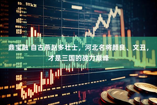 鼎宝融 自古燕赵多壮士，河北名将颜良、文丑，才是三国的战力巅峰