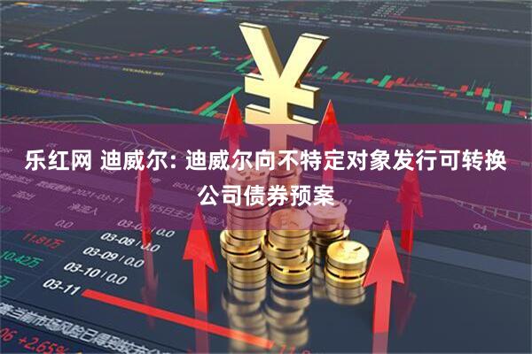 乐红网 迪威尔: 迪威尔向不特定对象发行可转换公司债券预案